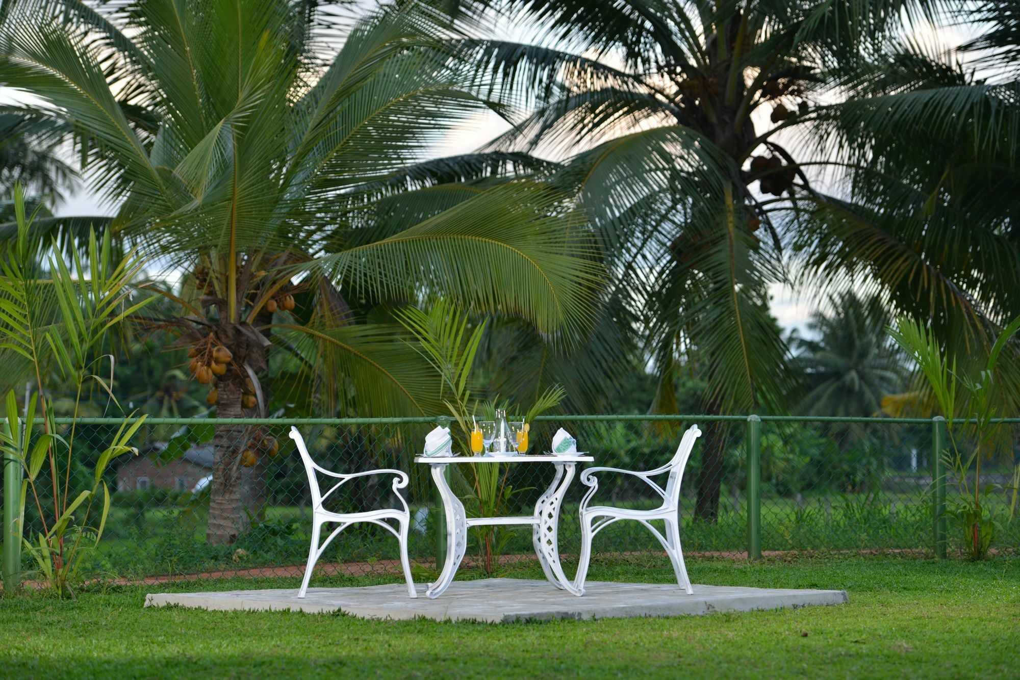 Rajarata Family Resort Anuradhapura Exteriör bild